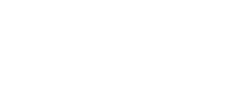5624001-NieuweStroom-logo_wit-768x277