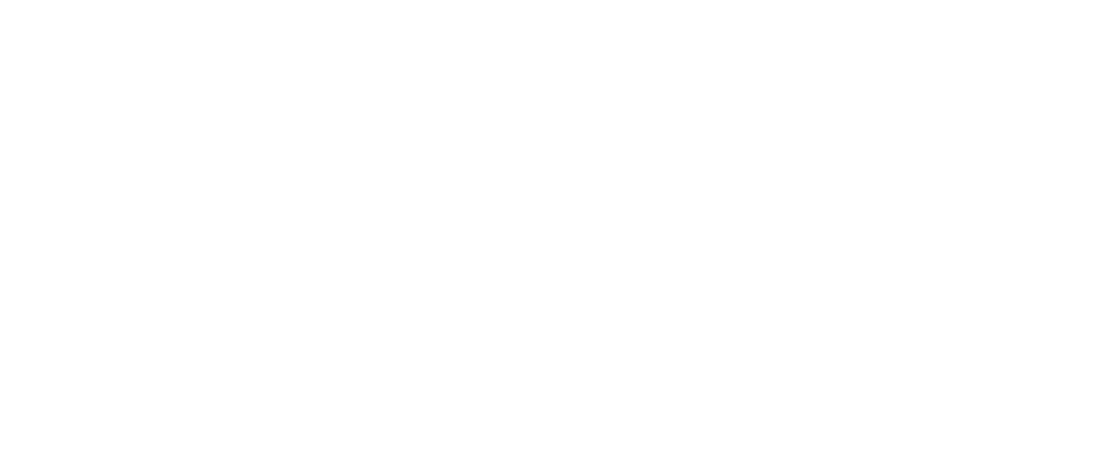 NieuweStroom - logo wit