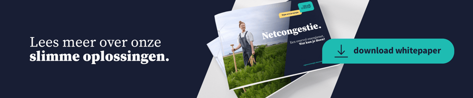 NieuweStroom CTA_whitepaper